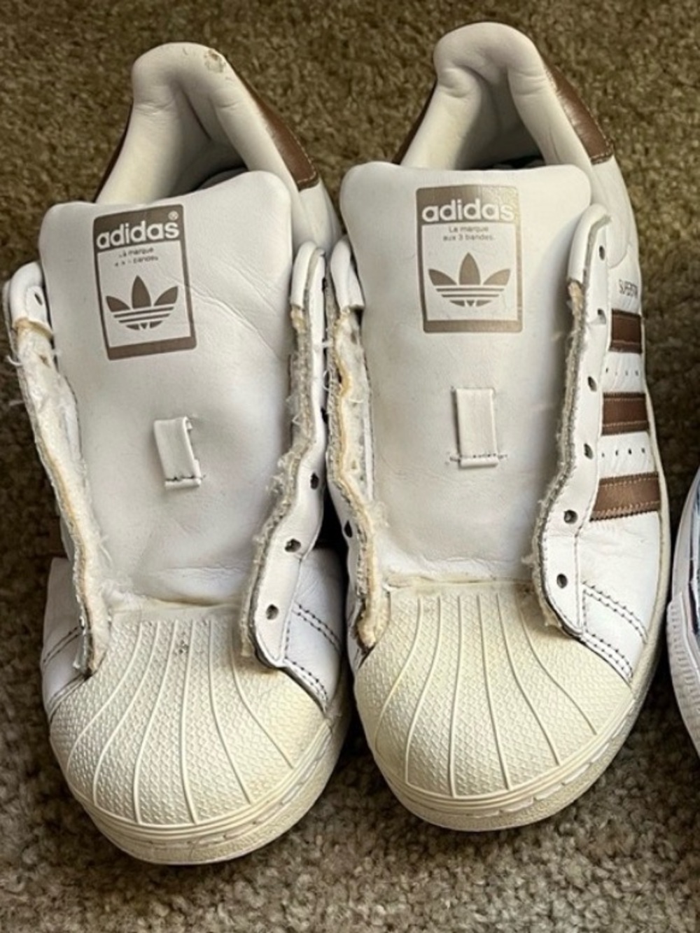 Adidas sneakers